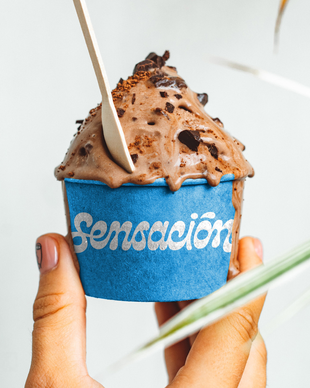 Sensacion_V Sensacion_V
