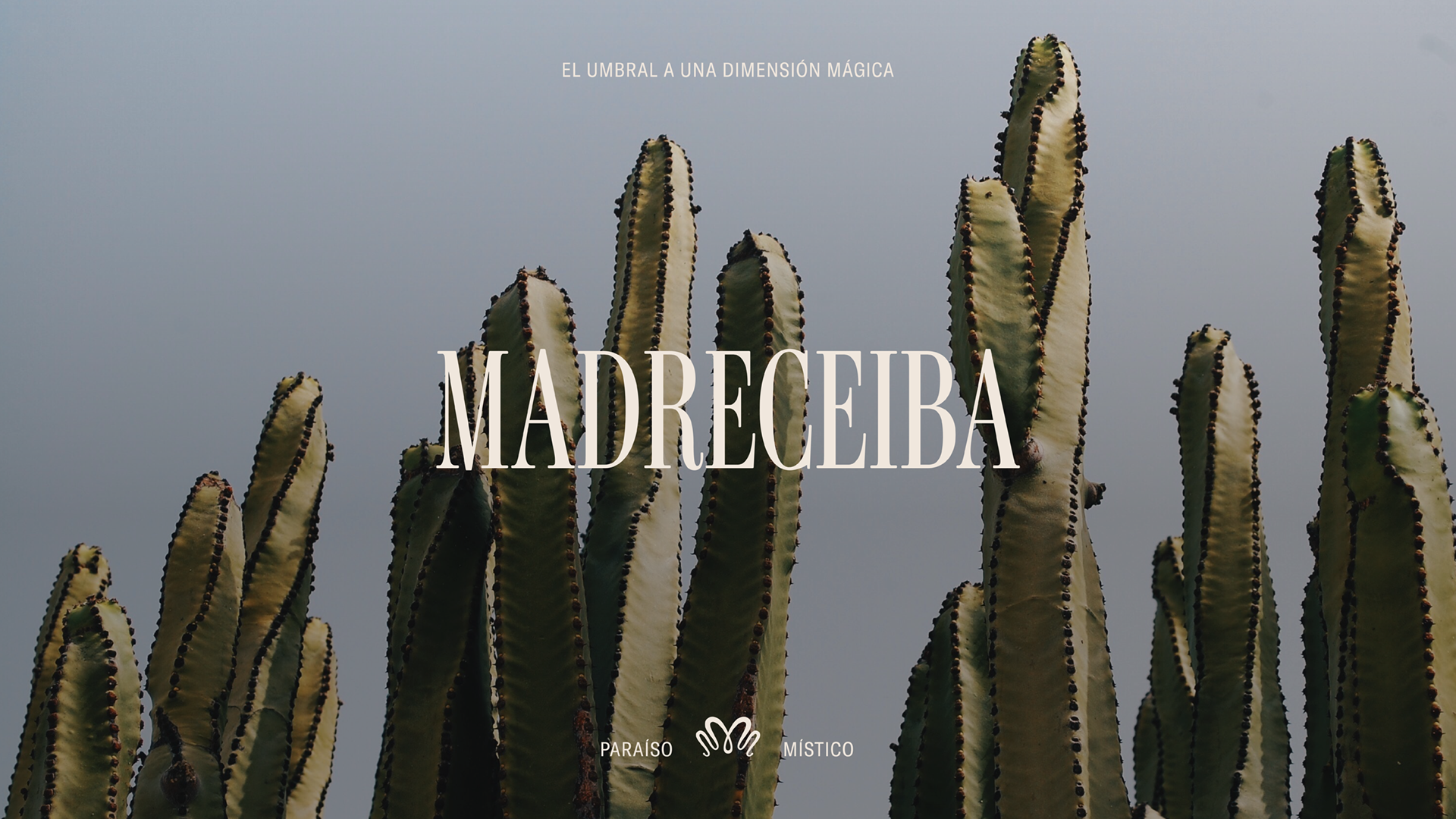 MADRECEIBA_MOCKUPS-01